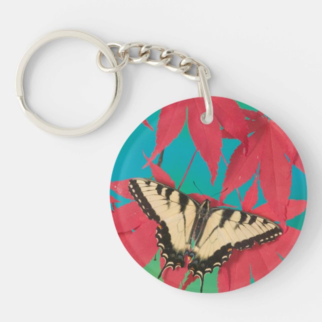 Porte-clefs Un papillon Papilio canadensis (Devant)