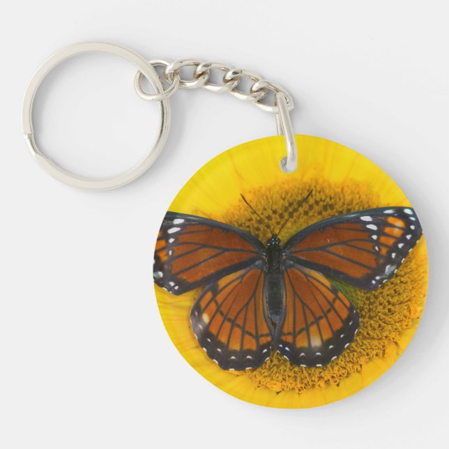 Porte-clefs Un papillon vice-roi | Limenitis Archippus (Devant)