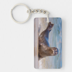 Porte-clefs Un phoque sur une plage le long de la côte Pacifiq