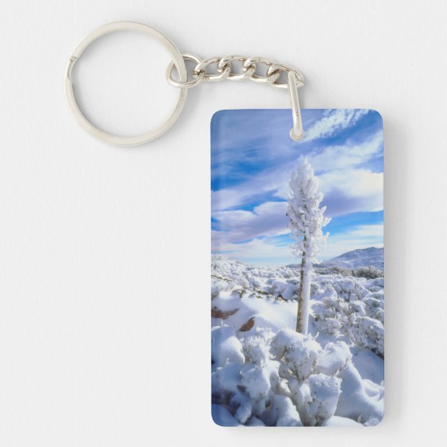 Porte-clefs Un yucca enneigé (Devant)