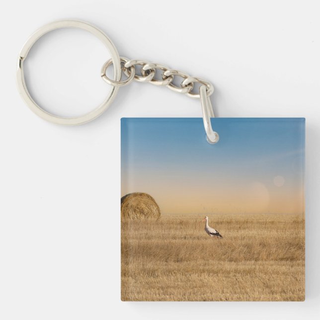Porte-clefs Une cigogne blanche (Devant)