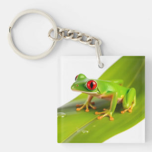 Porte-clefs Une grenouille tree frog Redeye
