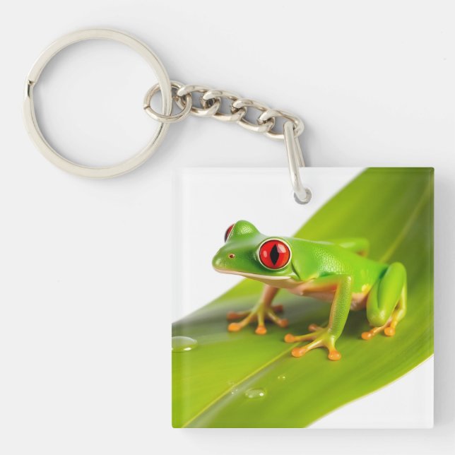 Porte-clefs Une grenouille tree frog Redeye (Devant)