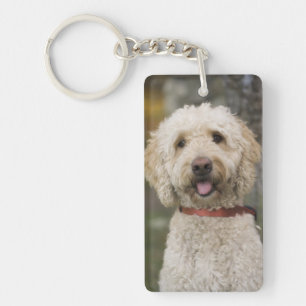 Porte-clefs USA, Nouvelle-Angleterre, Massachusetts, Lecture,
