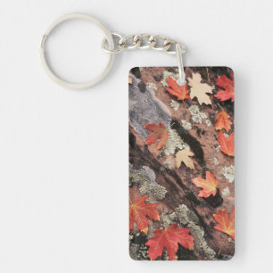 Porte-clefs Utah, Parc national de Sion, Motifs de l'automne