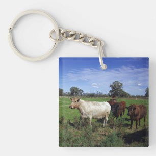 Porte-clefs Vache Blanche Menant Le Troupeau,