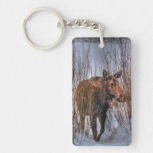 Porte-clefs Vache d'orignal sauvage canadienne en neige d'hive