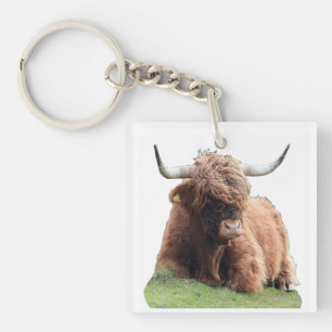 Porte-clefs Vache Écossaise Mignonne aux longs poils des Highl