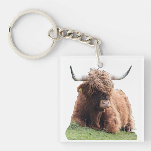 Porte-clefs Vache Écossaise Mignonne aux longs poils des Highl (Devant)