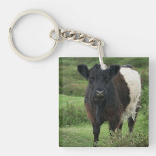 Porte-clefs Vache galloway à ceinture