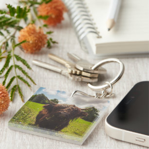 Porte-clefs Vache noire pâturage vert champ soleil