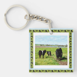 Porte-clefs Vaches Galloway encadrées, Clavier