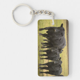 Porte-clefs Vaches sous la pluie
