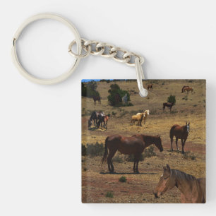 Porte-clefs Valley of the Horses