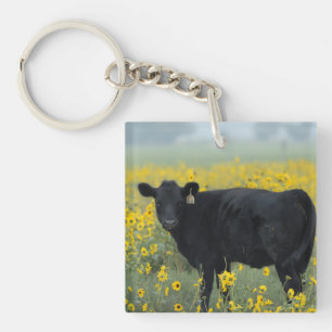 Porte-clefs Veau noir dans un champ de tournesols
