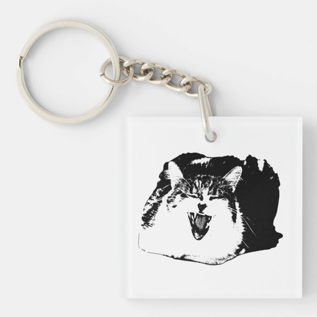 Porte-clefs Vector Grin, Clip Smarts (Devant)