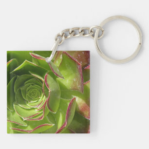 Porte-clefs Vert
