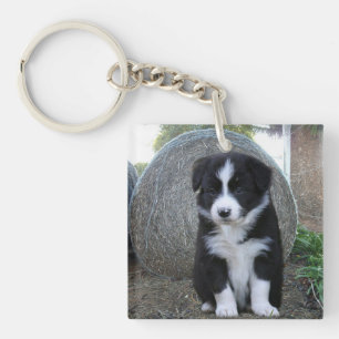 Porte-clefs Vie de ferme de chiots Border Collie,