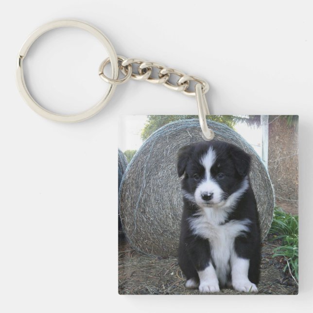 Porte-clefs Vie de ferme de chiots Border Collie, (Devant)