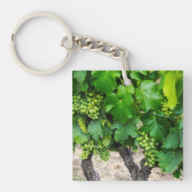 Porte-clefs Vignes de raisins de cuve, France (Devant)