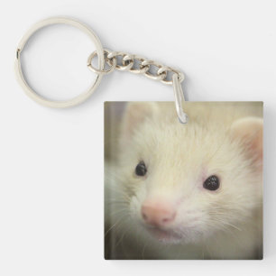 Porte-clefs Visage de furet