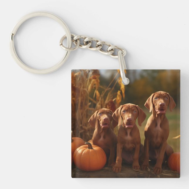Porte-clefs Vizsla Chiot Automne Citrouille délice (Devant)