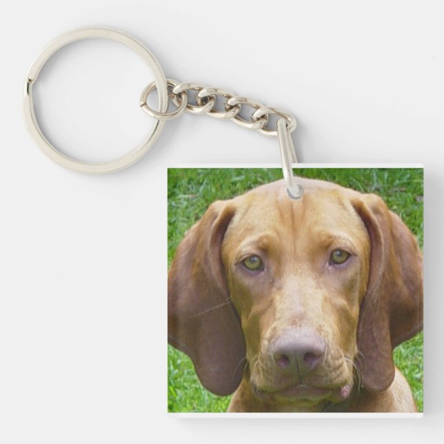 Porte-clefs vizsla.png (Devant)