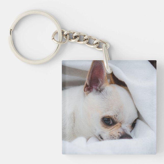 Porte-clefs Votre chiot chien de compagnie photo personnalisée (Devant)
