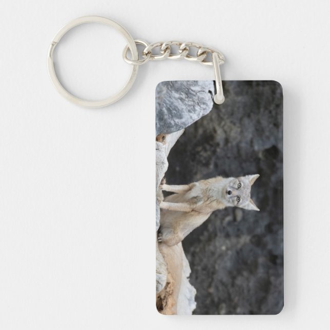 Porte-clefs Vulpes corsac (Devant)