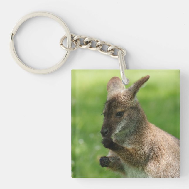 Porte-clefs Wallaby de Bennett (Devant)