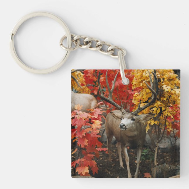 Porte-clefs Whitetail En Automne (Devant)