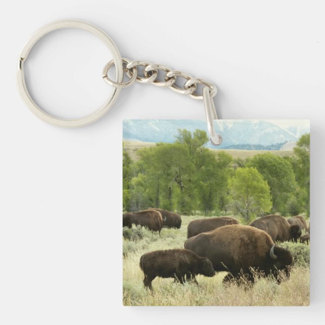 Porte-clefs Wyoming Bison Nature Animal Photographie (Devant)