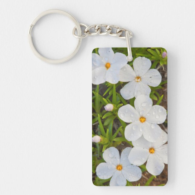 Porte-clefs Wyoming, comté de Sublette, gros plan sur Phlox (Devant)
