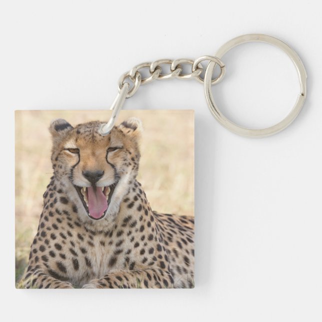 Porte-clefs Yawning Cheetah (Dos)