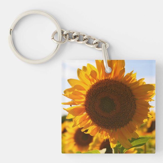 Porte-clefs Yellow Hardy Sunflower Art Meilleures photos de to (Devant)