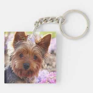 Porte-clefs Yorkshire Terrier