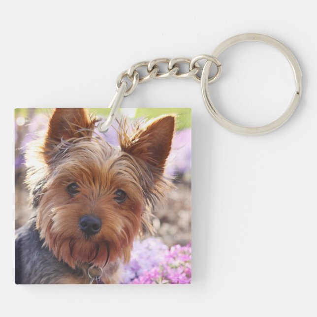 Porte-clefs Yorkshire Terrier (Dos)