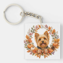 Yorkshire Terrier Automne