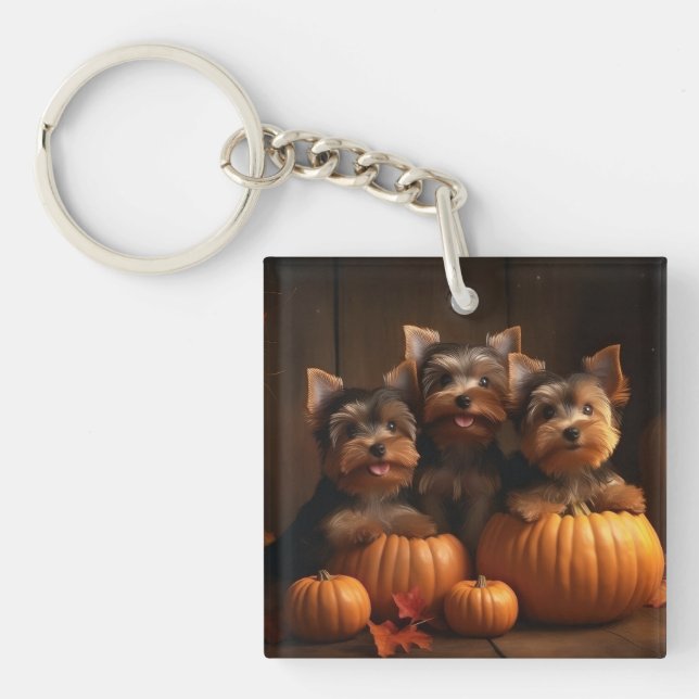 Porte-clefs Yorkshire Terrier chiot Autumn Delight Citrouille  (Devant)