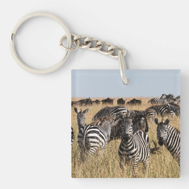Porte-clefs Zèbre de Grant (Devant)