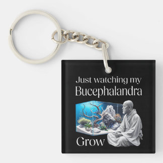 Porte-clefs Zen and Bucephalandra
