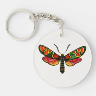 Porte-clefs Zygaena carniolica - La teigne de Burnet Crepuscul