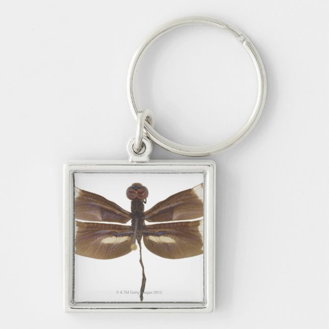 PORTE-CLÉS 23599152 (Devant)