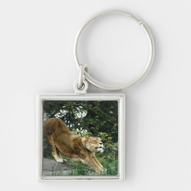 PORTE-CLÉS 24114343 (Devant)