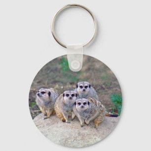 Porte-clés 4 Meerkats Porte - clé
