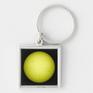 Porte-clés À pleine vue du Sun