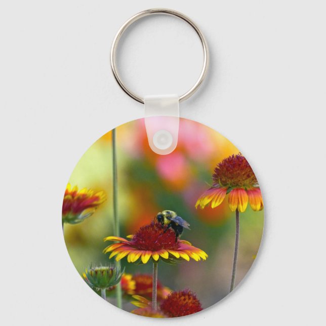 Porte-clés Abee sur Gaillardia (Recto)