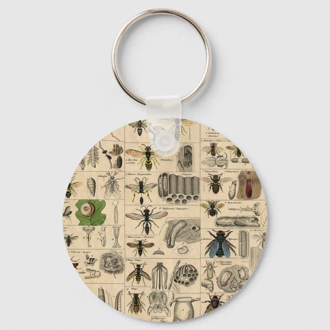 Porte-clés Abeille Insecte Bug Wasp Histoire naturelle abeill (Recto)