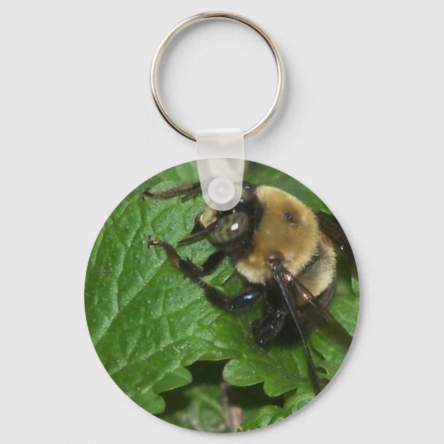 Porte-clés Abeille sur baume de citron (Recto)