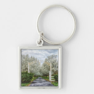 Porte-clés Accueil du lecteur Spring
